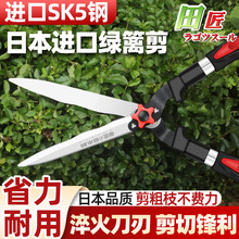 �ձ��M�ڈ@ˇ�@���޻���֦����ľ���޲�ƺ�G�h�����޼���֦����