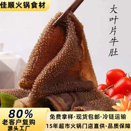 毛肚批发5斤 新鲜大叶片牛肚千层肚牛百叶商用牛杂重庆涮火锅食