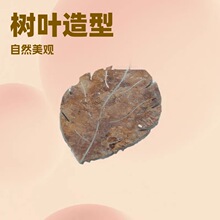 定制树叶造型人行道板岩汀步石脚踏石庭院地砖园林广场铺路石厂家