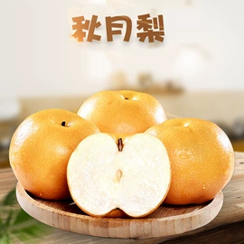 苹果;橙;其他水果