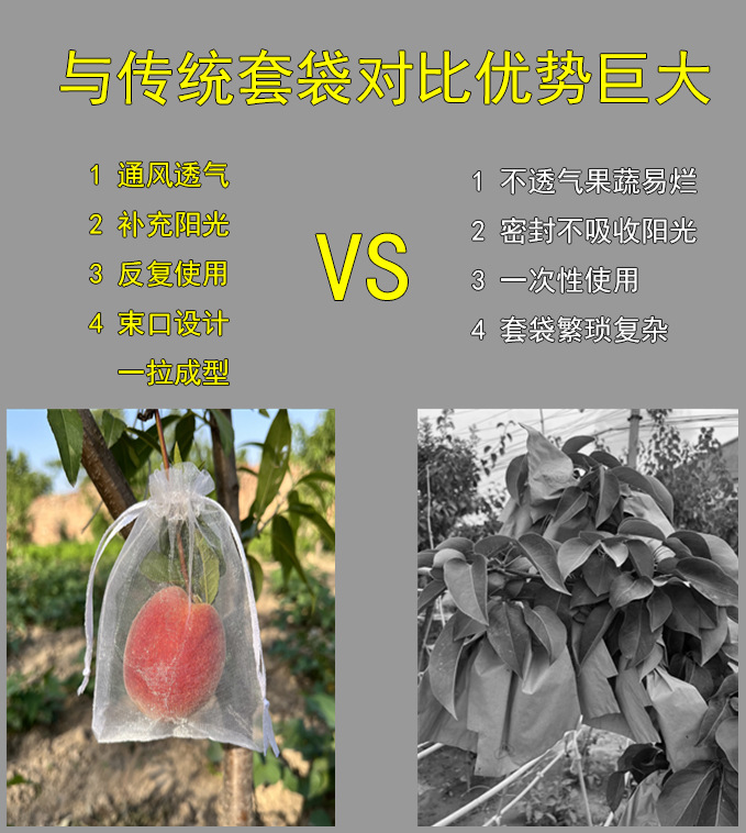 291729829681954909_副本_副本_副本