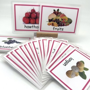 �F؛�羳 ���u���Ƕ��Ӣ�Z���~��ĸ���֌W����Ƭ�̾�flash cards