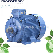 marathon늙C/�R����늙C/marathon Motors  HJN132M-4  7.5KW
