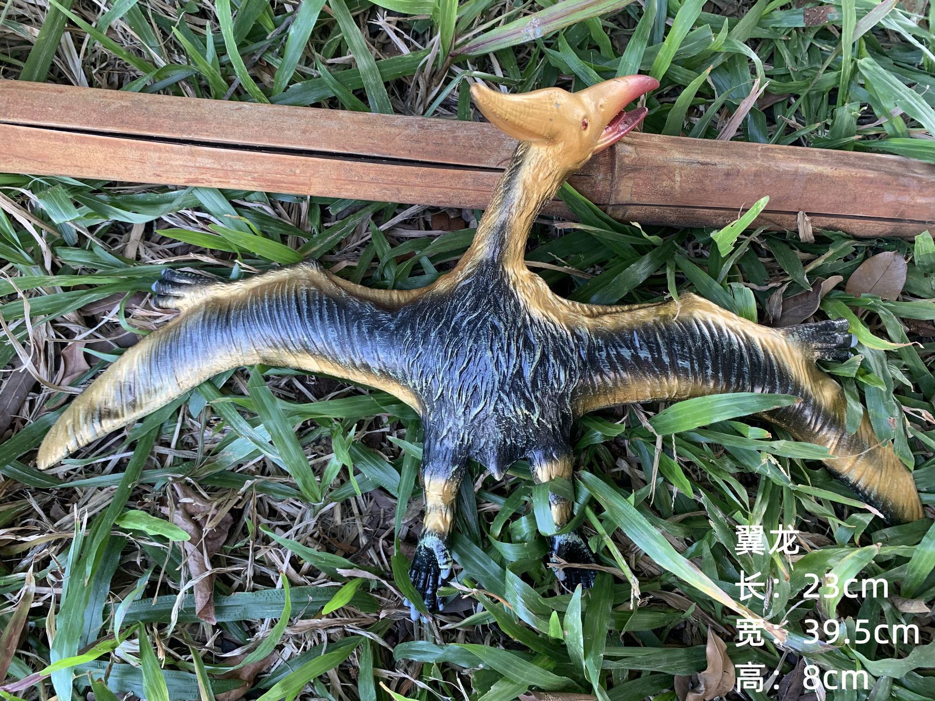 New Chinese Pterodolka