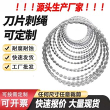 ��\��Ƭ���KС�^���I���x�F�z�W�C���O�z���������P䓴̽z�L�\