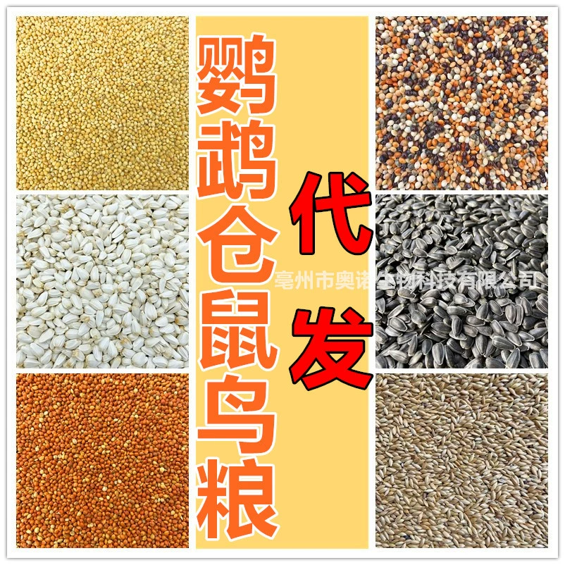 Корм для птиц-попугаев, корм для птиц, корм для голубей, корм для хомяков, цельная раздача и доставка, корм для домашних животных
