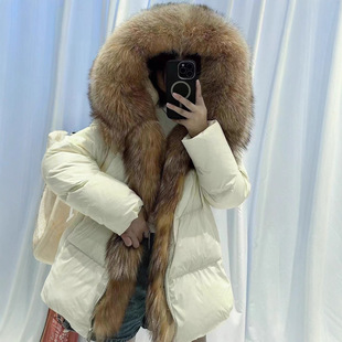 �y������ë�I��ů��q��һȦëë�����¿�Ќ��ɰ����q�Bñ����