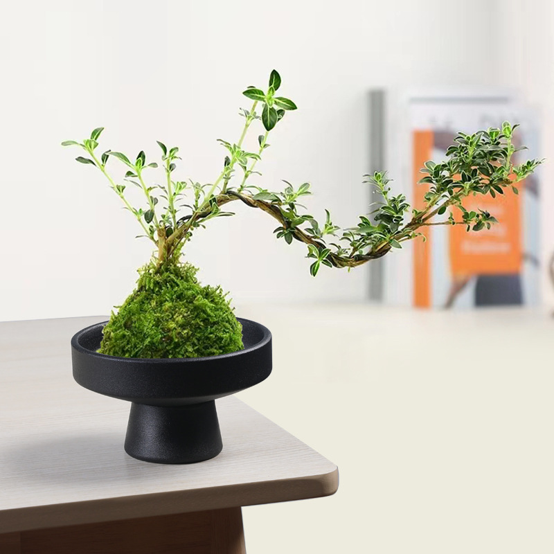 Flower Arrangement Vessel, Green Plant Pot, Hydroponic Small and Medium-Sized Fragrant Moon Calamus Ceramic Flower Pot, Zen Dried Fruit Plate, Desktop Decoration Flower Arrangement Vessel, Green Plant Pot, Hydroponic Small and Medium-Sized Fragrant Moon Calamus Ceramic Flower Pot, Zen Dried Fruit Plate, Desktop Decoration