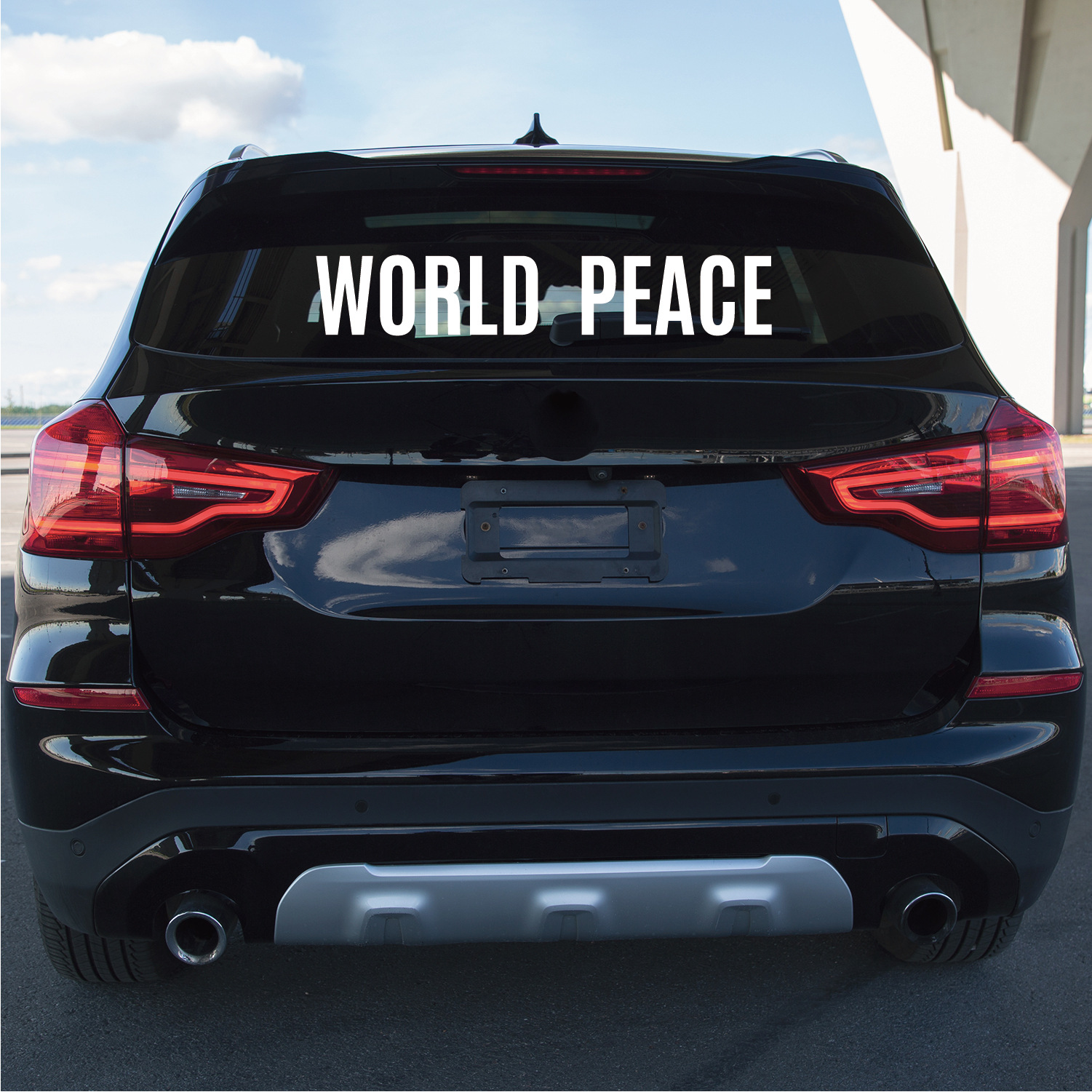 5英寸白色场景 (3).jpg