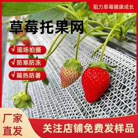 遮阳网;农用遮阳网;跑道草坪