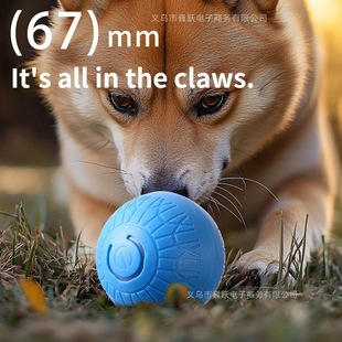 �羳������������˽␞�������������ԄӶ���������늄ӹ������