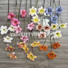 ݰٺ3DӡٺϻcbˇOӋյ߼Ҿbٻ