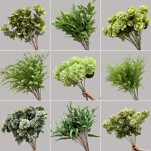 ��c��ˇ������~ֲ���Pβ�~���ȼ������X�ݻ�Y�����[�ľGֲ����