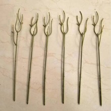 ���滨��֦��� 30���׆�֧�M���ǻ��U DIY�������M���ǗU�����l