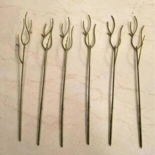 ���滨��֦��� 30���׆�֧�M���ǻ��U DIY�������M���ǗU�����l