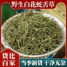 Ұ���׻��������ș����Ʒ�׻��߲ݰٻ���������۰�֦ɏ�F���~