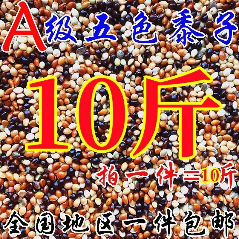 虎皮牡丹玄凤中小型鹦鹉鸟食饲料五色黍子鹦鹉混合粮谷子专用粮食