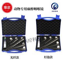 R P䓌 LED wԴR F 늳