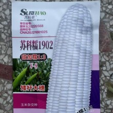 �K��Ŵ1902���׷N�� 20���rʳ������׷N�� ��Ŵ���U���� �s���N