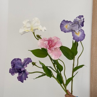 �羳���NEVA���Q���Sβ�m���滨Ʒ�|؛Դ���S���lܛ�b��c����