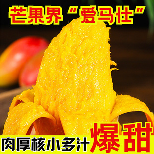 �����F��â���t�������r�t�����~3�ﮔ������Fժ���]��ˮ��1��