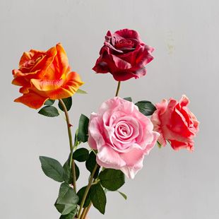 ��֧pu�ָб������õ�� ���滨�Ӽһ�ˇܛ�b ��Y�b�õ�廨�ٻ�