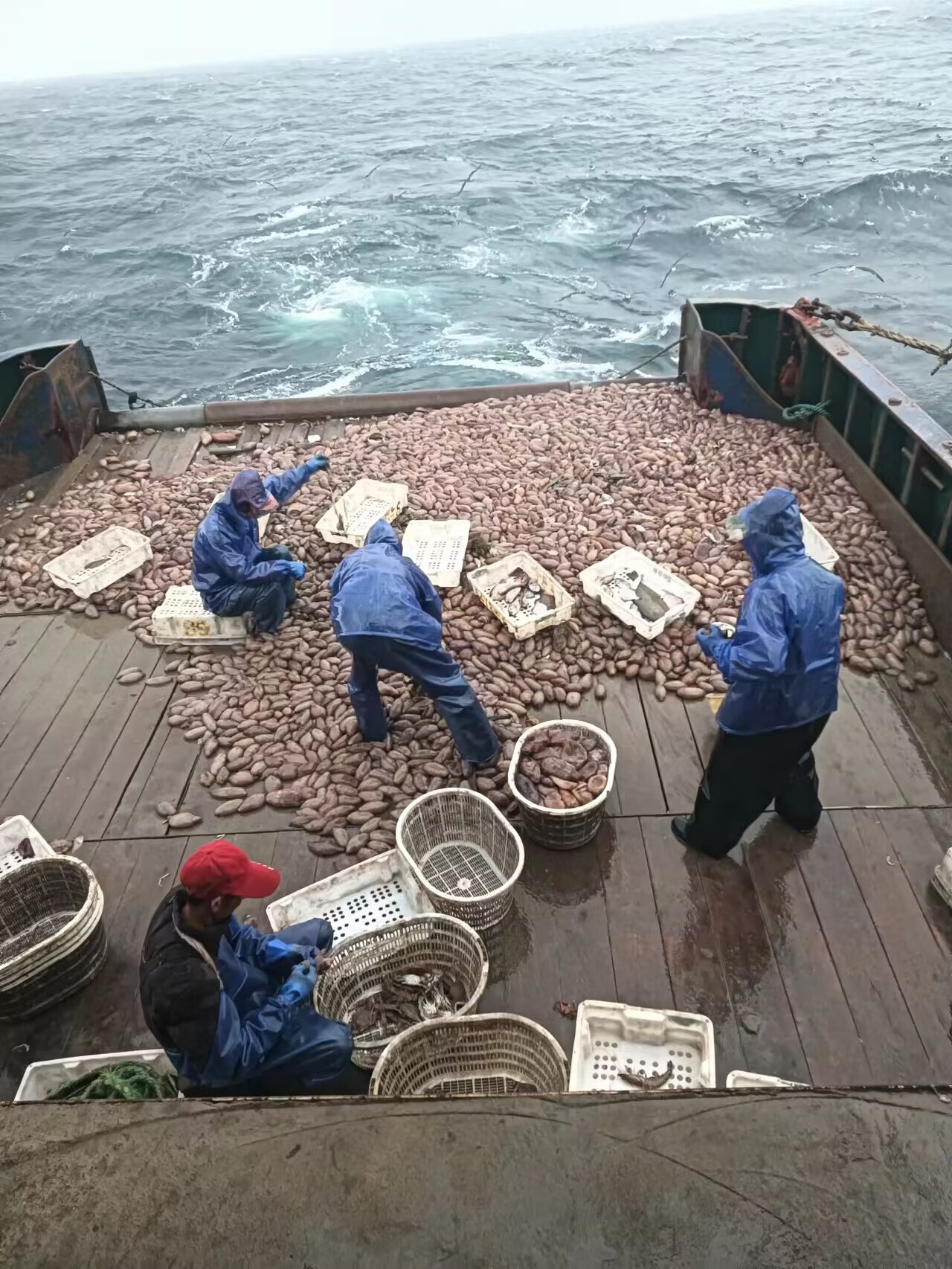 QQ圖片20231124084835