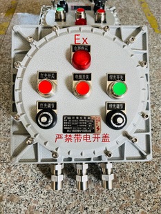 IICT4 explosion-proof control box BSK