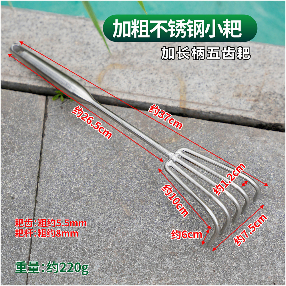 Stainless steel rake (five teeth - long)