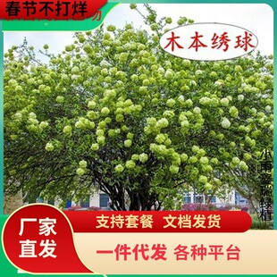 һ�����lľ��������辰�̨�ϱ���ͥԺ����ϡ�����F������ͺ�ֲ