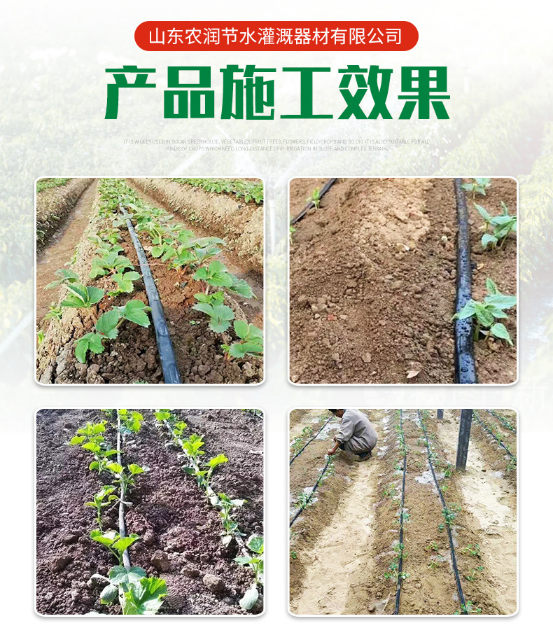 贴片式滴灌带_06.jpg