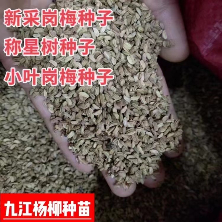 微信图片_20230907103058