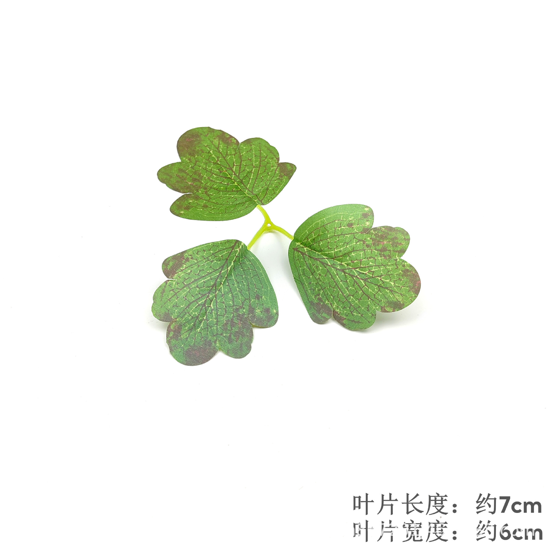 Chrysanthemum Leaf - Style 4