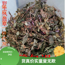 ����Ұ���L������������β����^�t�Ҽt�~�L�ǲݸ�Ʒ��ϴ�Ƀ��Ҝ�