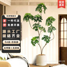 _ľGֲԷֲ[҃ȿ͏dɳlb٘辰