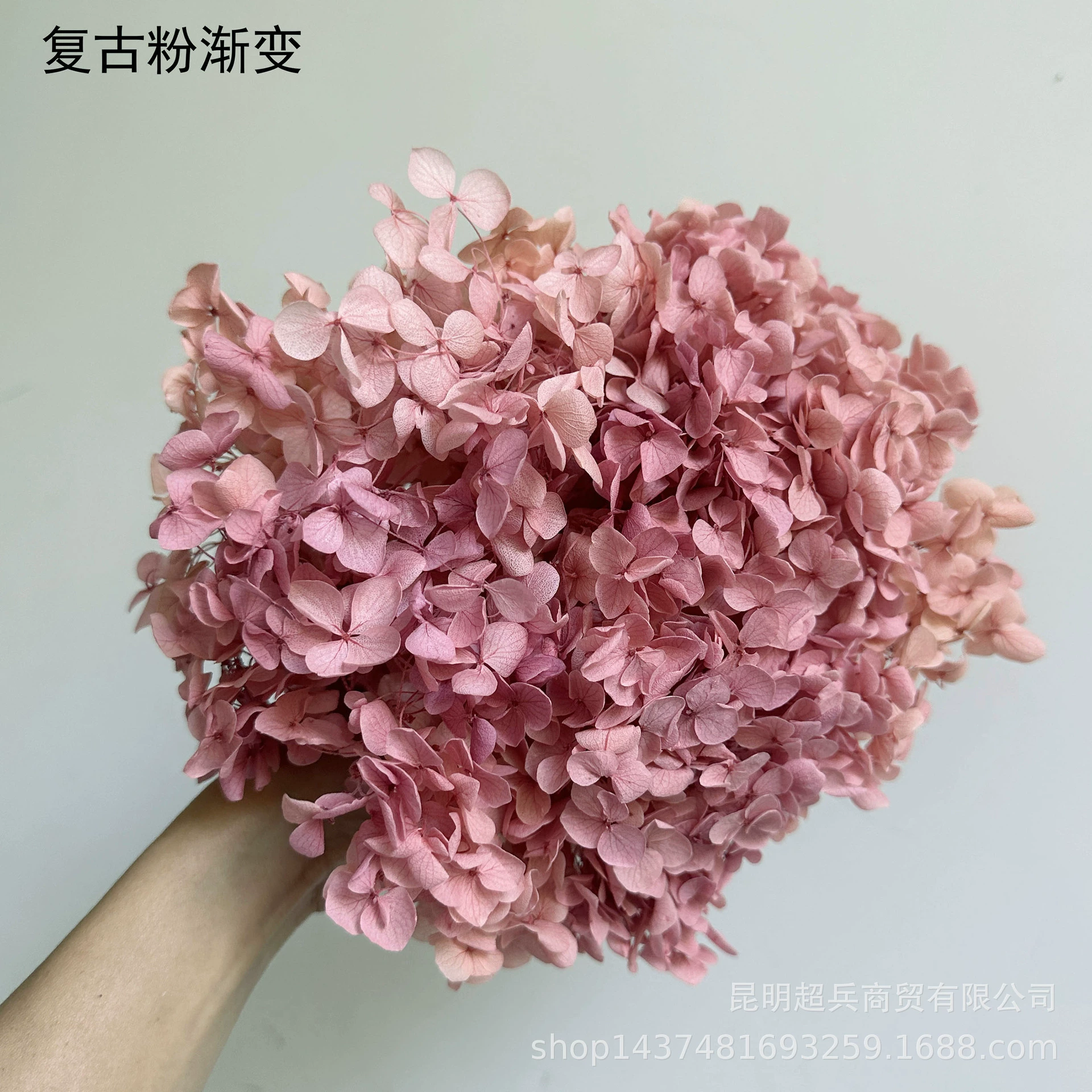 [Вечная Life Flower Hydrangea] Анна Градиентный цвет Лист Hydramid Книга цветов оптом DIY цветочная коробка материал для просмотра