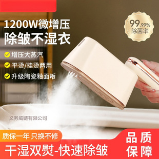 Zhi1 Handheld Garment Ironing Machine Household Small Steam Electric Iron Ironing Clothes Calligraphy Portable 2025