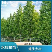 ����ˮɼ����ͥԺ��߅��·�L�����ˮɼ���̖����ɼС��ռ���o��