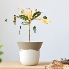 ��ϵ�ֹ���������m�մɻ��������m������͸�ⱱ�W�����؟��҃�