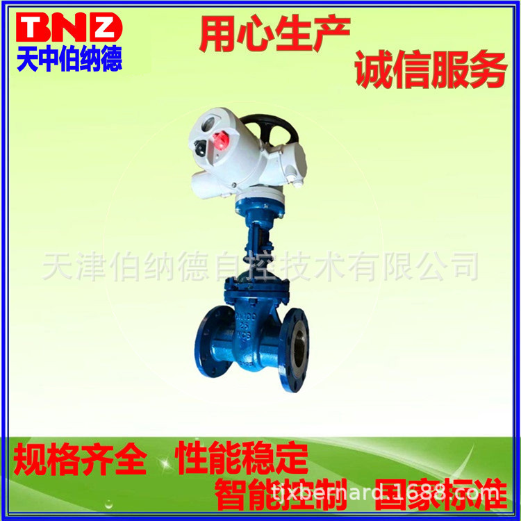 电动闸阀2022BX2001