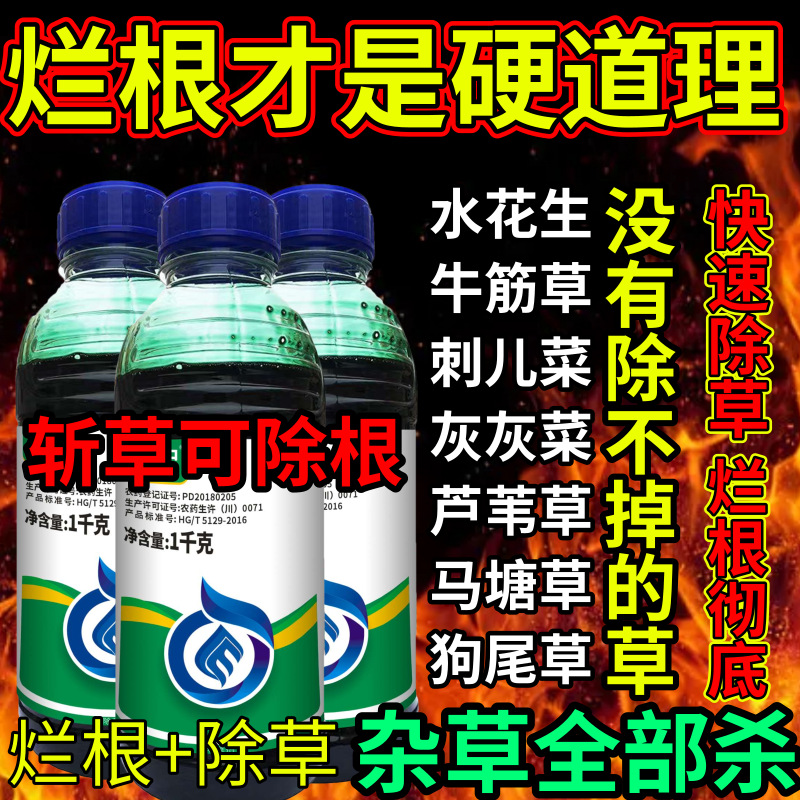 烂根才是硬道理死根草剂斩草除根荒地果园专用除草剂草铵膦除草