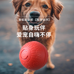 国境を越えて猫のボールをからかって犬のボールの重力を跳んでボールの犬のおもちゃを跳ぶことができます。