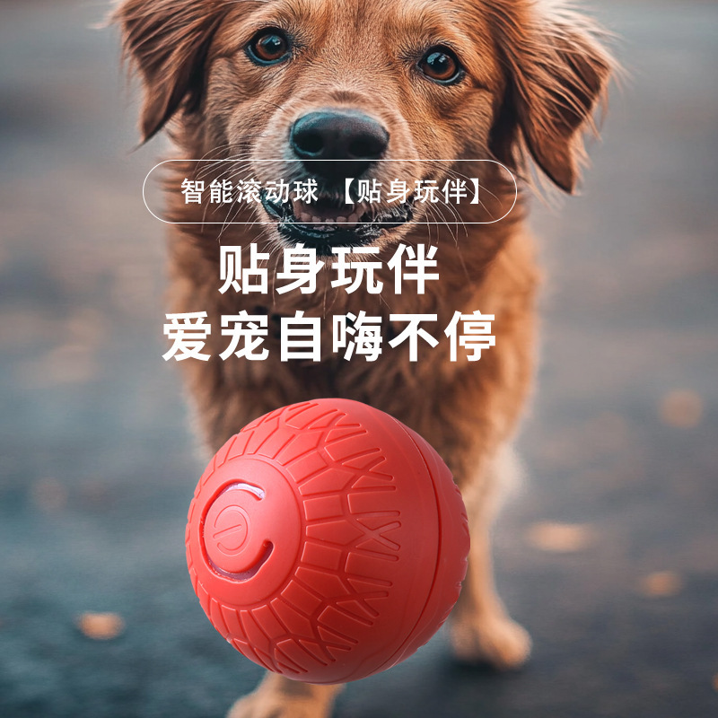 国境を越えて猫のボールをからかって犬のボールの重力を跳んでボールの犬のおもちゃを跳ぶことができます。|undefined