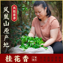 【凤姐家茶 桂花香】高山单丛茶 果香型 凤凰乌岽单枞茶潮州单从