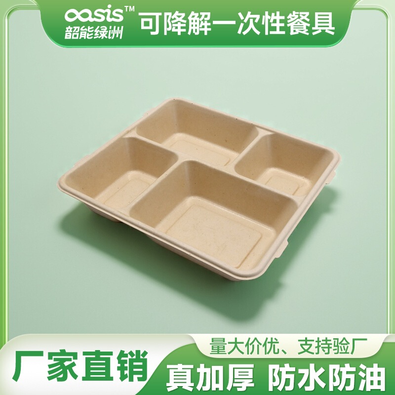 Sugarcane Pulp and Bamboo Pulp Disposable Eco-Friendly Tableware, Four-Compartment Plate, Biodegradable, Compostable, Food Grade