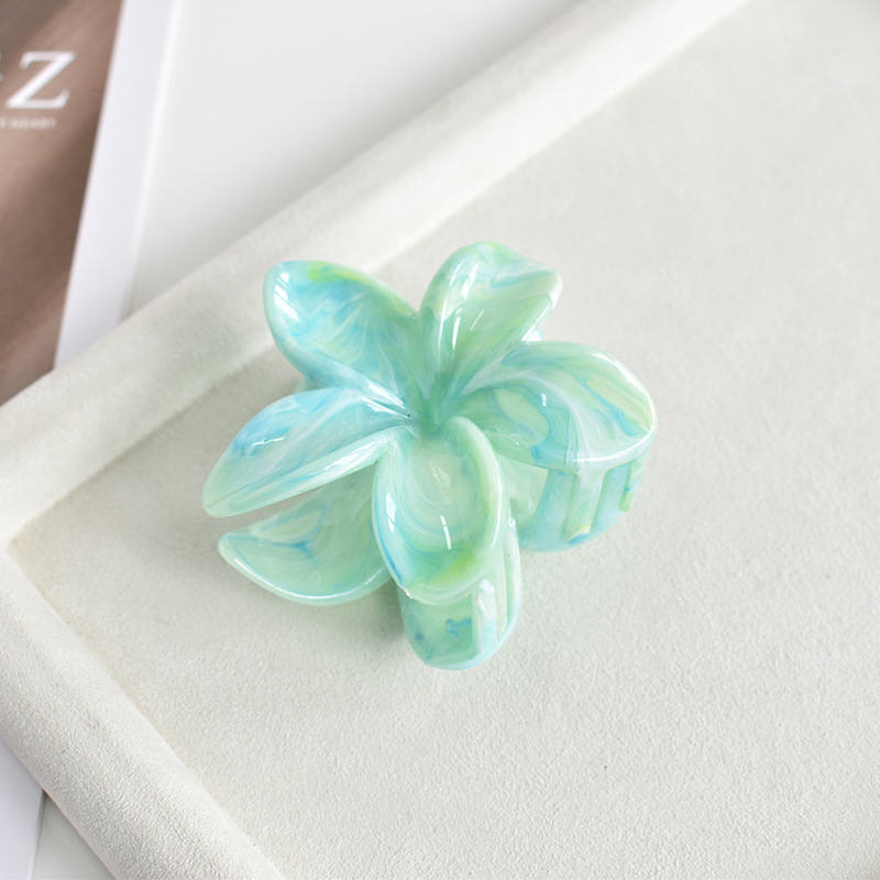 38g Weight Hair Claws Hair Accessories Type 1 Piece Quantity Casual Occasion Plastic, Resin Material Plumeria Pattern Women's Gender Simple Style Style Simple Style Women's Plumeria Plastic Resin Hair Claws 5