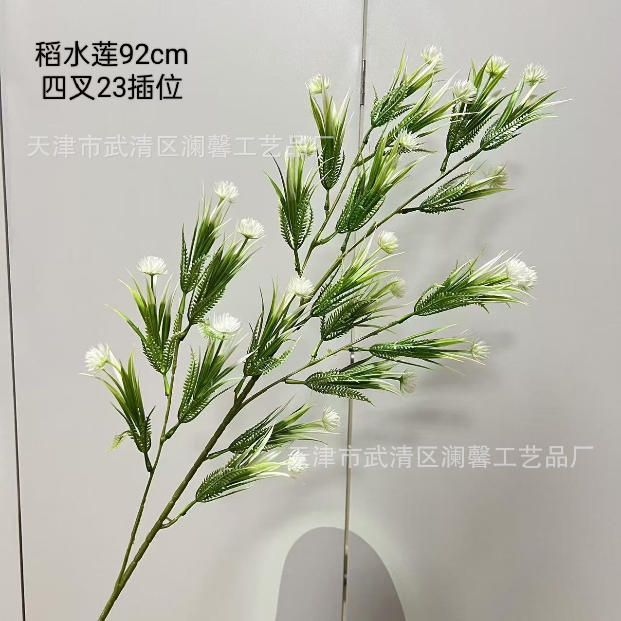 원래 색깔 쌀 연꽃