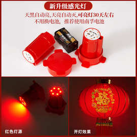 2024新款灯笼红光免插电电池LED灯大红灯笼家用装饰防水户外灯泡