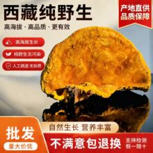 ���������ؼ���Ұ��ɣ��ɣ�S��ș���B��ɣ�S�����F؛���l���wֱ�l