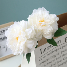 2�^��ɫĵ�����滨�ٻ������Wʽ�ҾӔ[�O�������ֹ���ˇ�b�